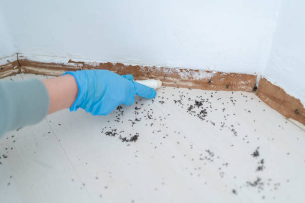 Real Estate Pest Inspections in Turley, OK